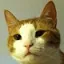CatsCraft logo