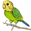 Budgie Network logo