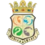 MedievalCraft logo