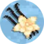 Vanilla Realms logo