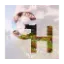 Looking for staff apply logo