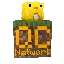 QuackCraft logo