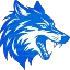 NAVELYA NETWORK logo