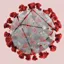 The Quarantine logo