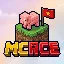 mcace logo