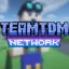 TeamTDM Network logo