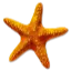 MC Beach Club logo