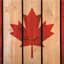 New New Canada logo