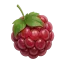 MCRaspi logo