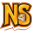 NetherStorm logo
