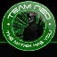 Team-NeOs Survvial With A Twist logo