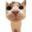 MeepCraft logo