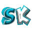 SkNetwork logo